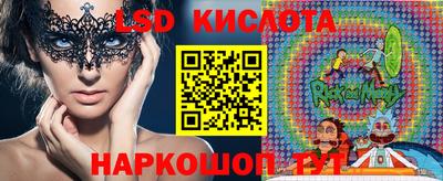 стаф Берёзовский