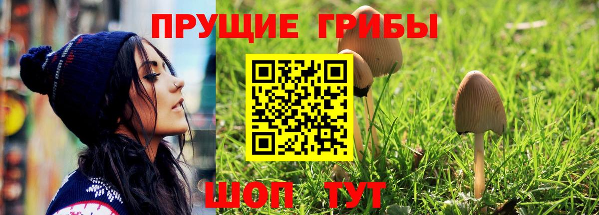 Галлюциногенные грибы MAGIC MUSHROOMS Кемерово