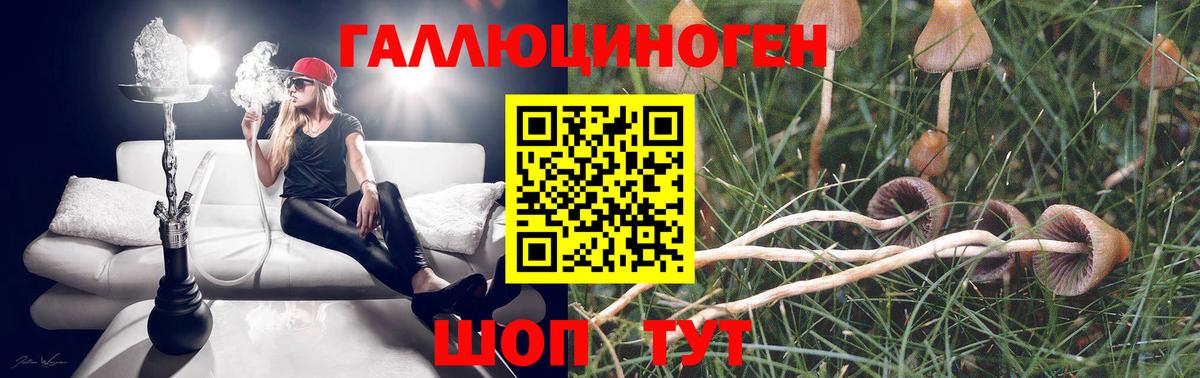 Кемерово  Галлюциногенные грибы мицелий  Вход с VPN 